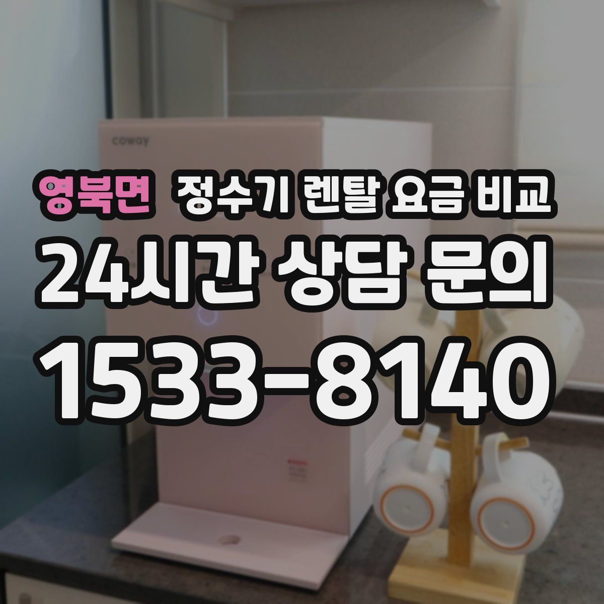 영북면 정수기 렌탈 요금 비교