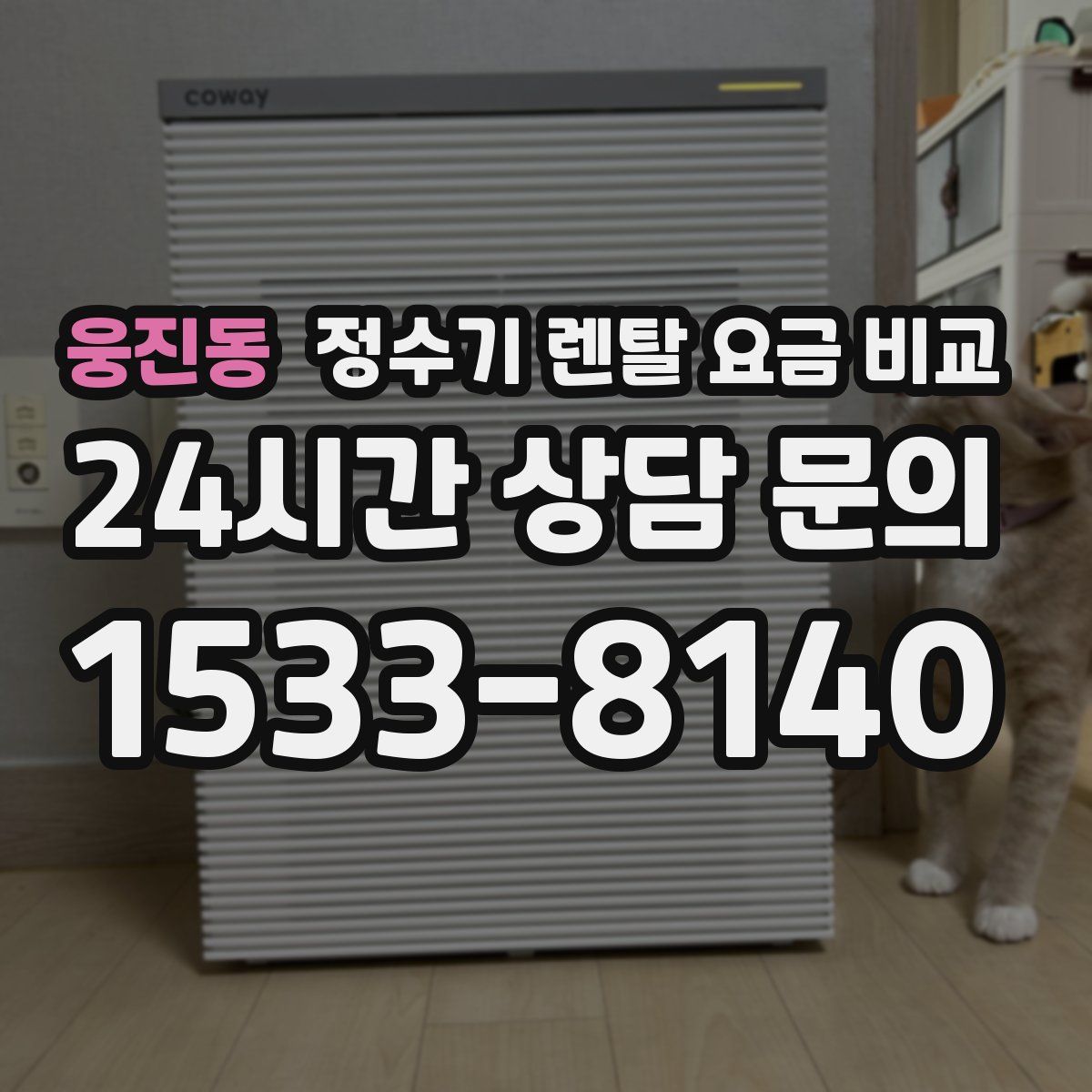 웅진동 정수기 렌탈 요금 비교