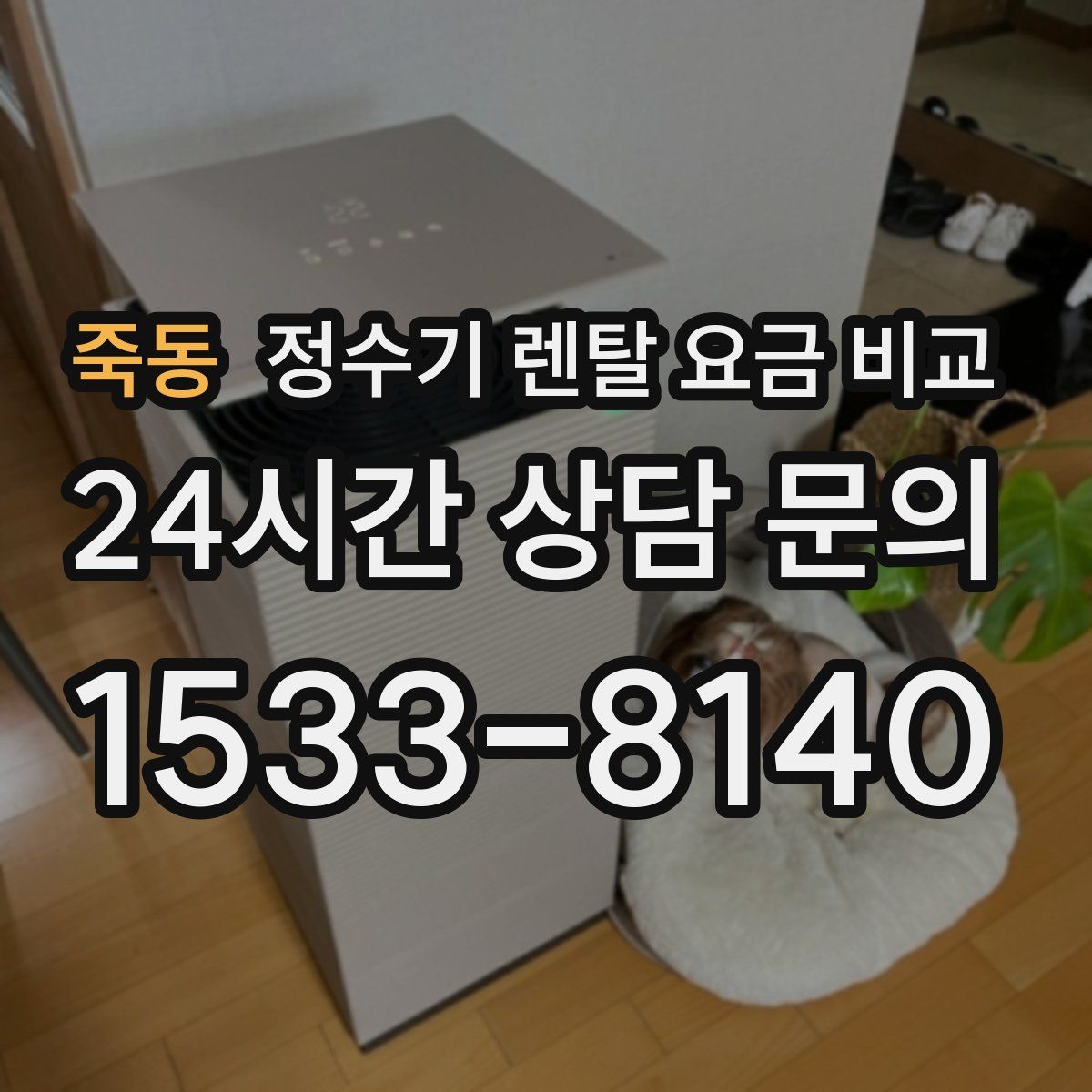죽동 정수기 렌탈 요금 비교