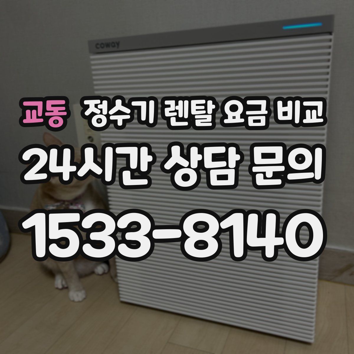 교동 정수기 렌탈 요금 비교