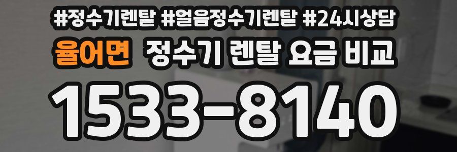 율어면 정수기 렌탈 요금 비교