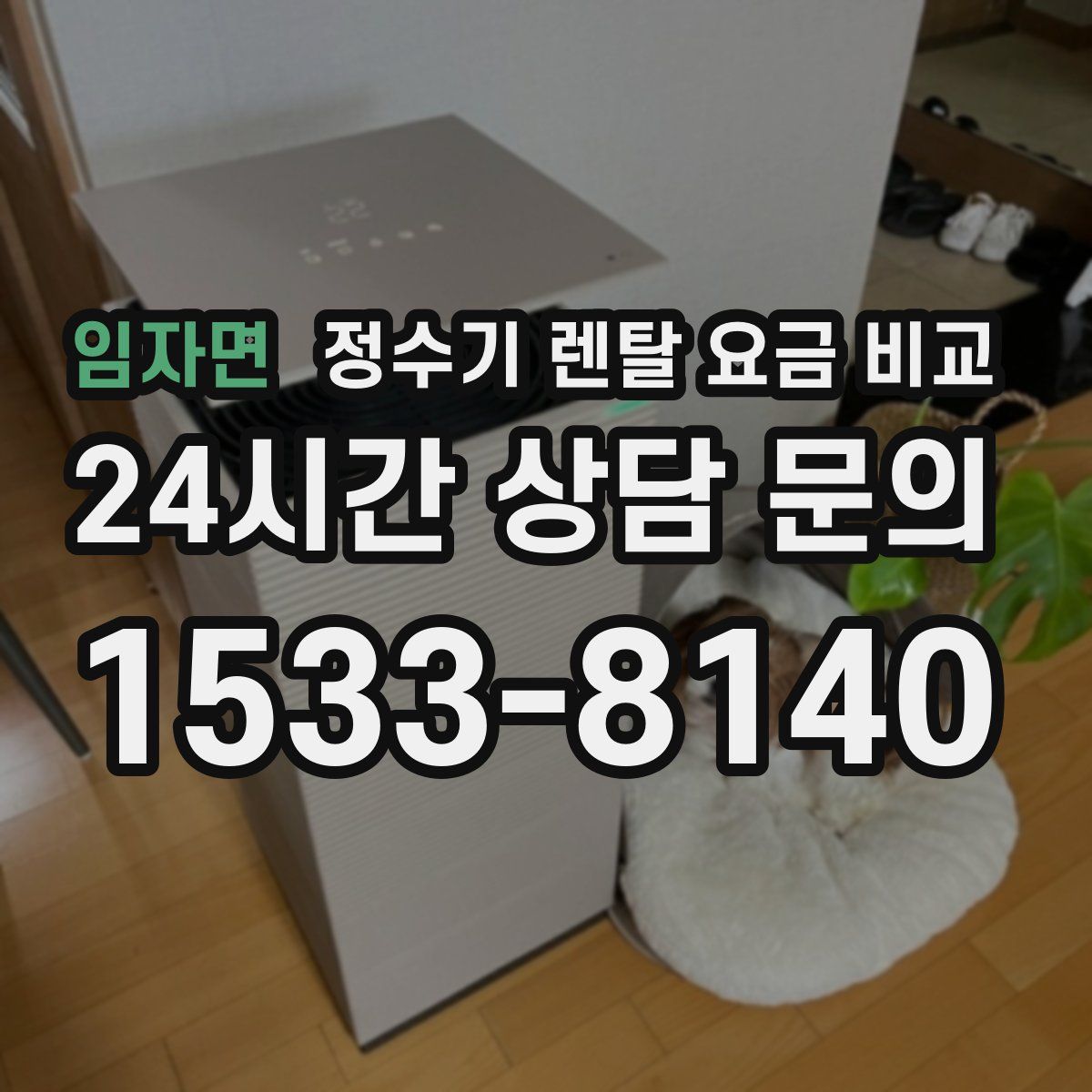 임자면 정수기 렌탈 요금 비교