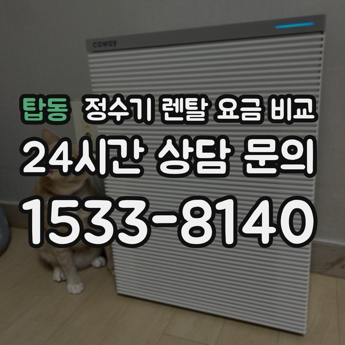 탑동 정수기 렌탈 요금 비교