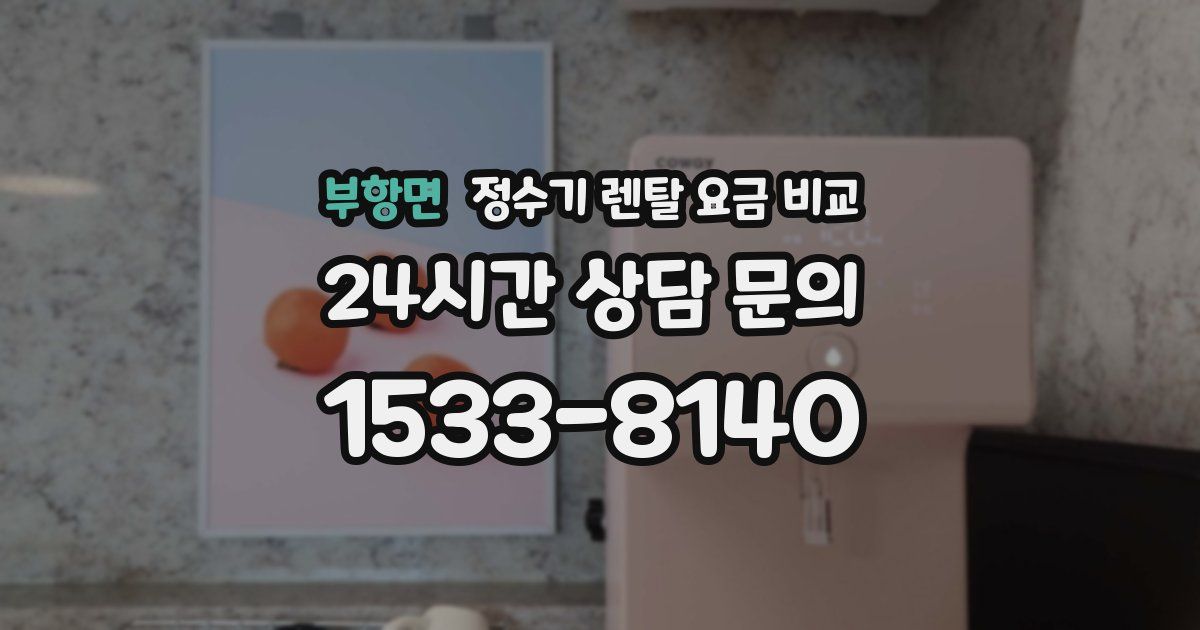 부항면 정수기 렌탈 요금 비교