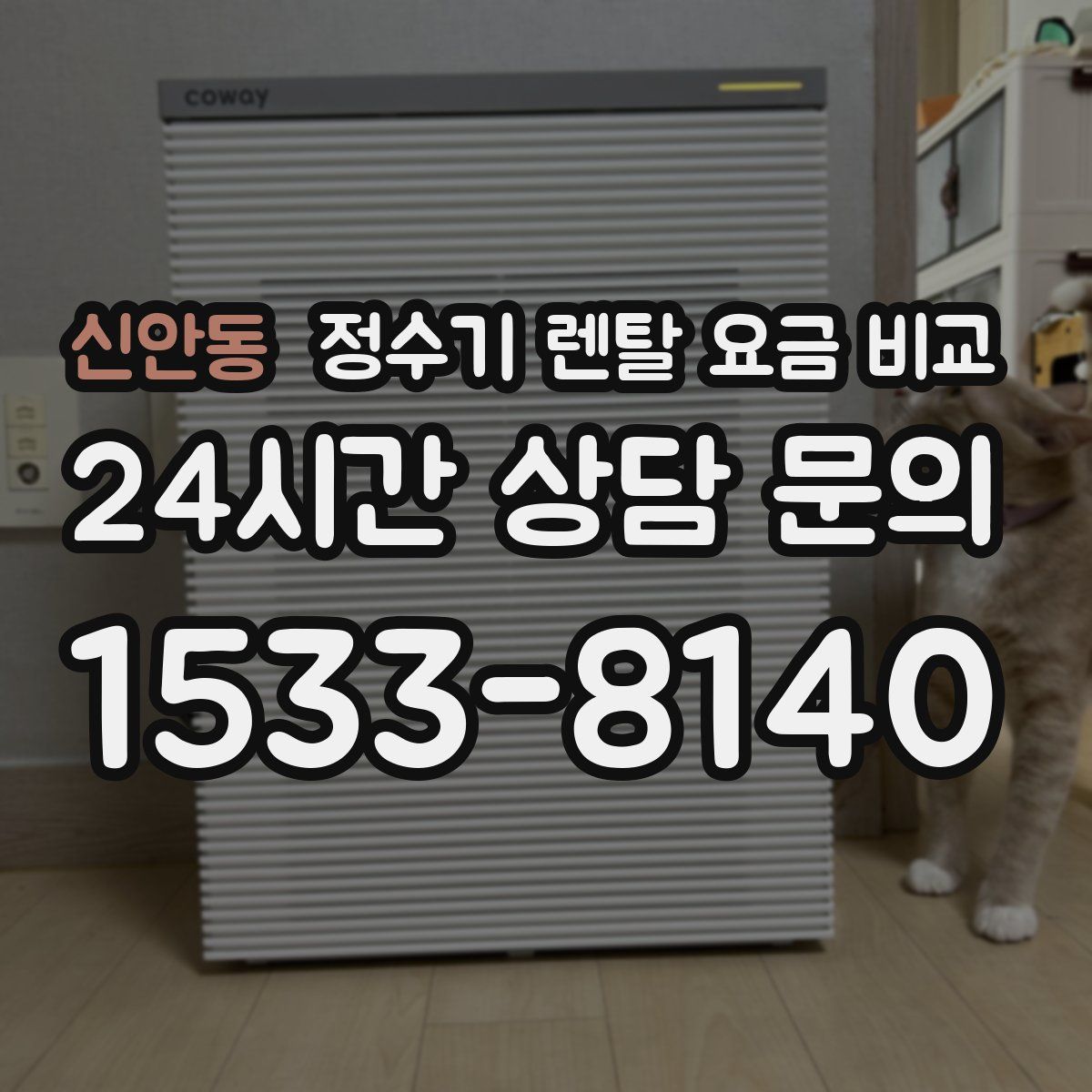 신안동 정수기 렌탈 요금 비교