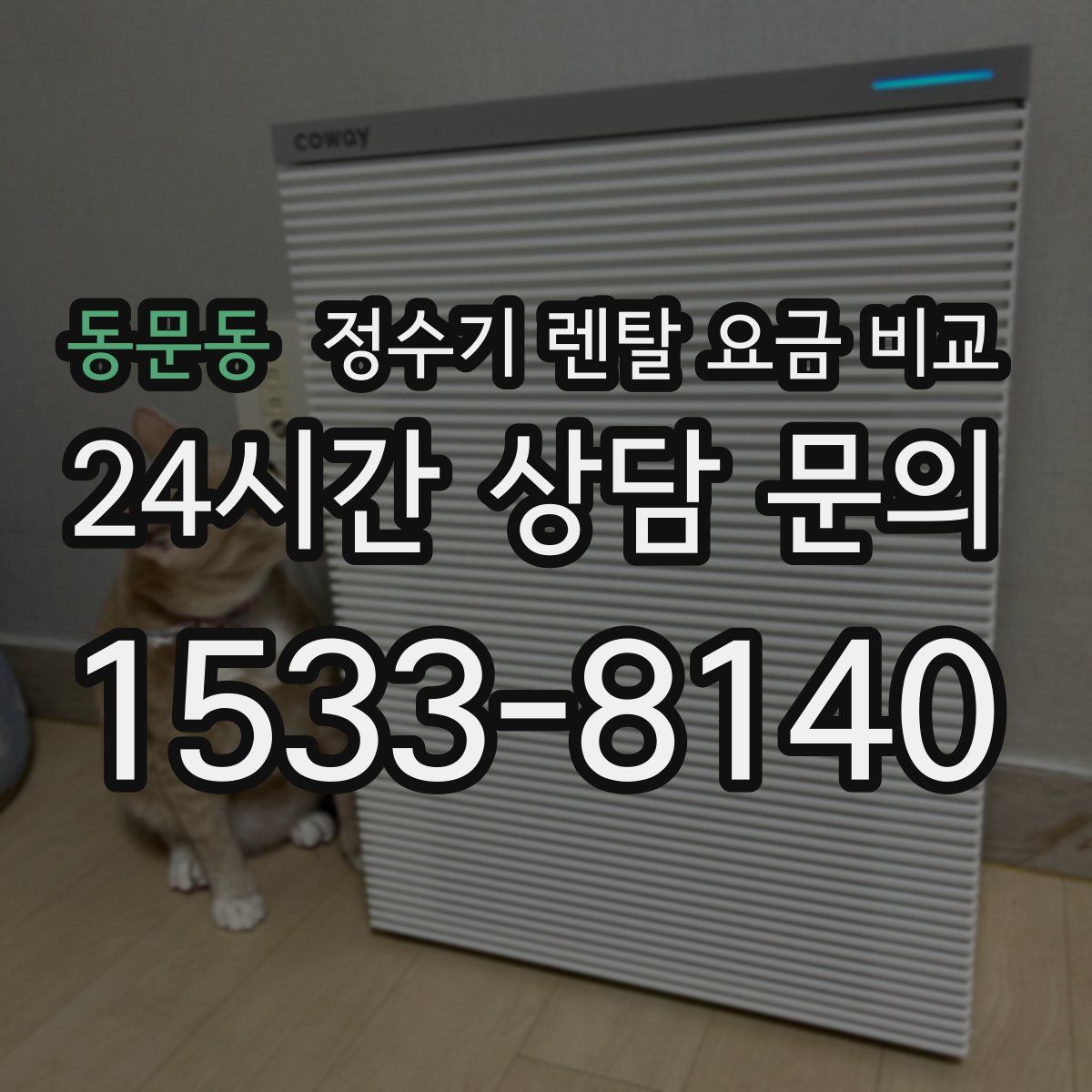 동문동 정수기 렌탈 요금 비교
