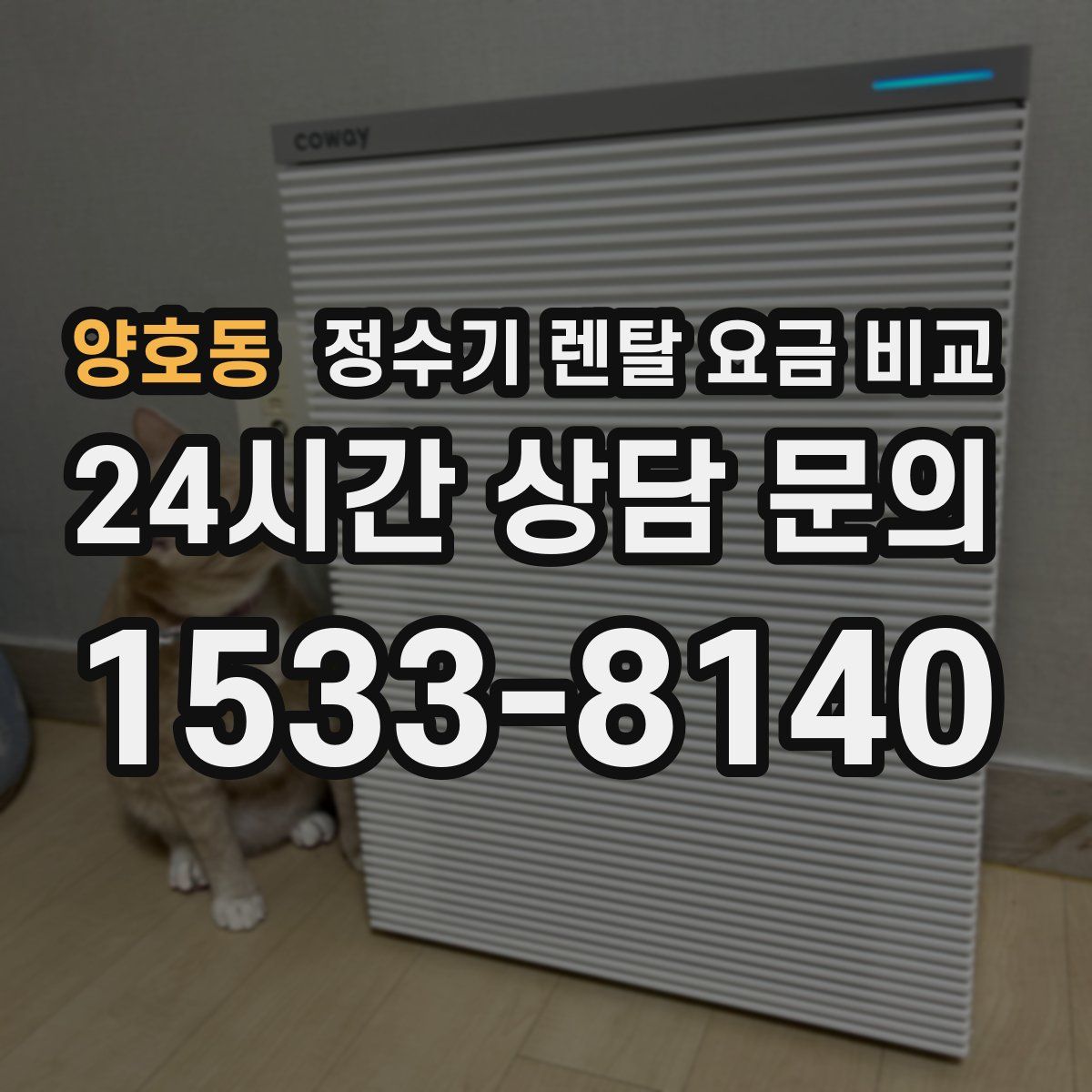 양호동 정수기 렌탈 요금 비교