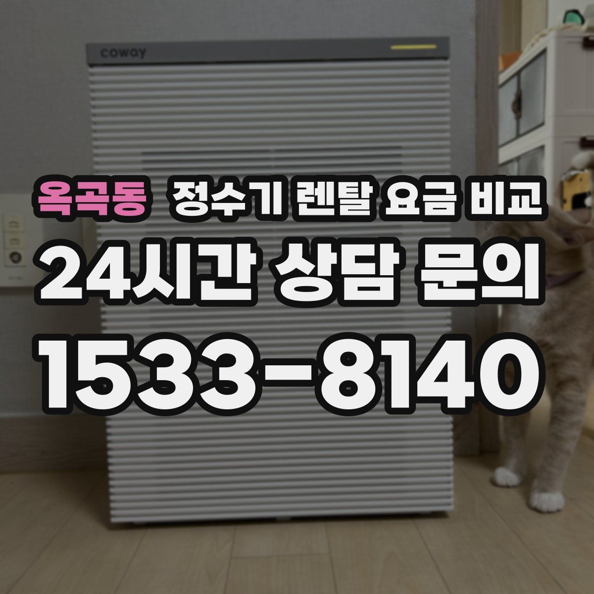 옥곡동 정수기 렌탈 요금 비교