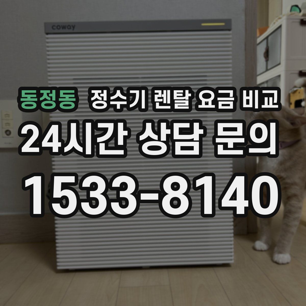 동정동 정수기 렌탈 요금 비교