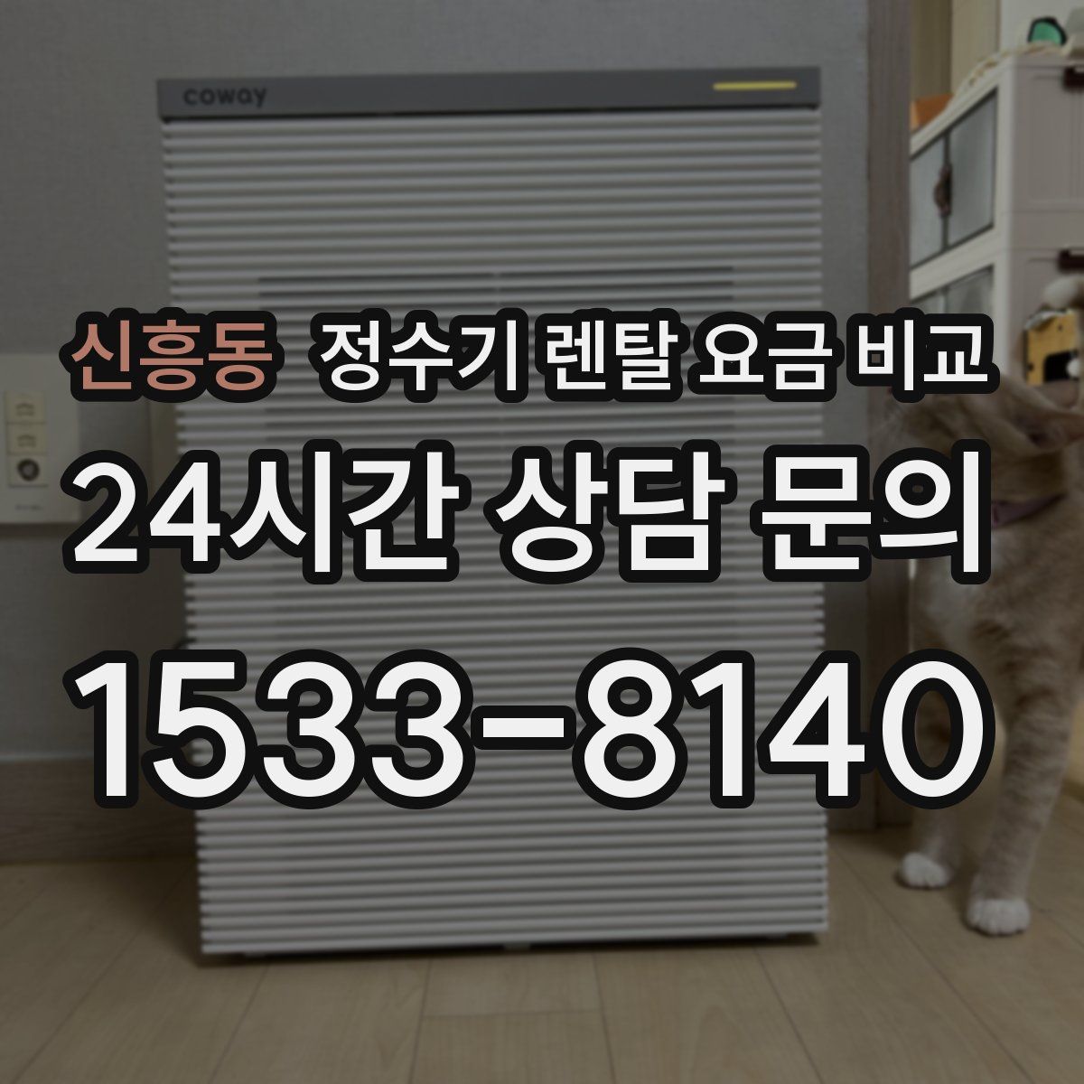 신흥동 정수기 렌탈 요금 비교
