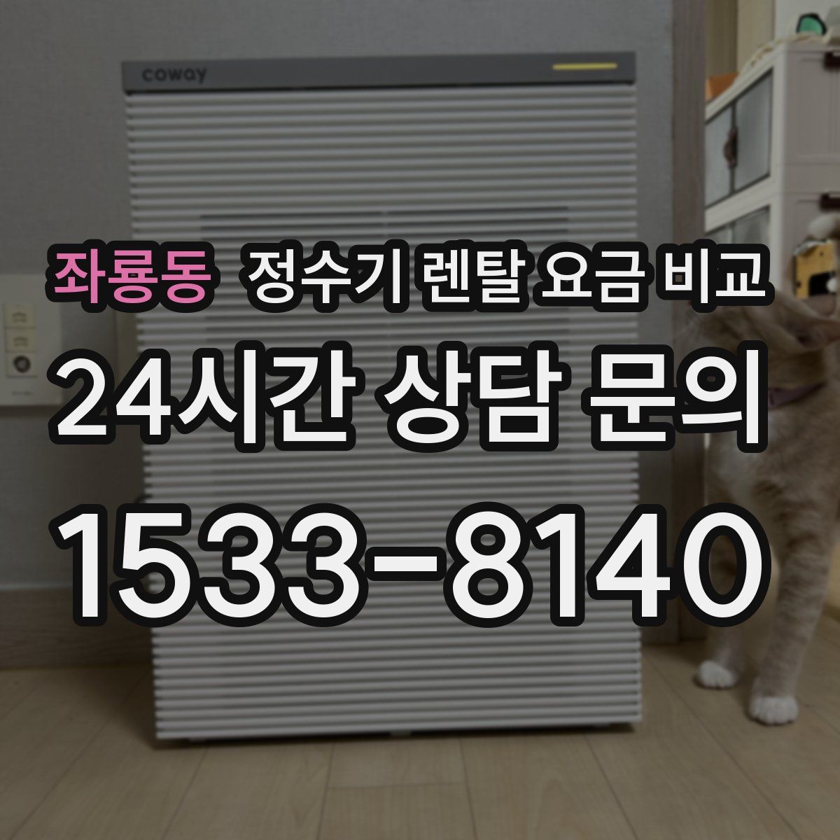 좌룡동 정수기 렌탈 요금 비교