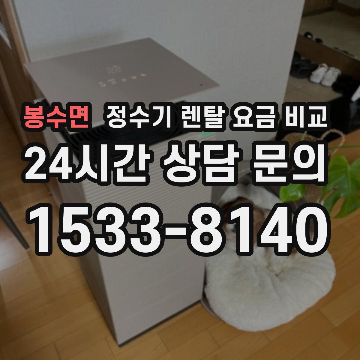 봉수면 정수기 렌탈 요금 비교