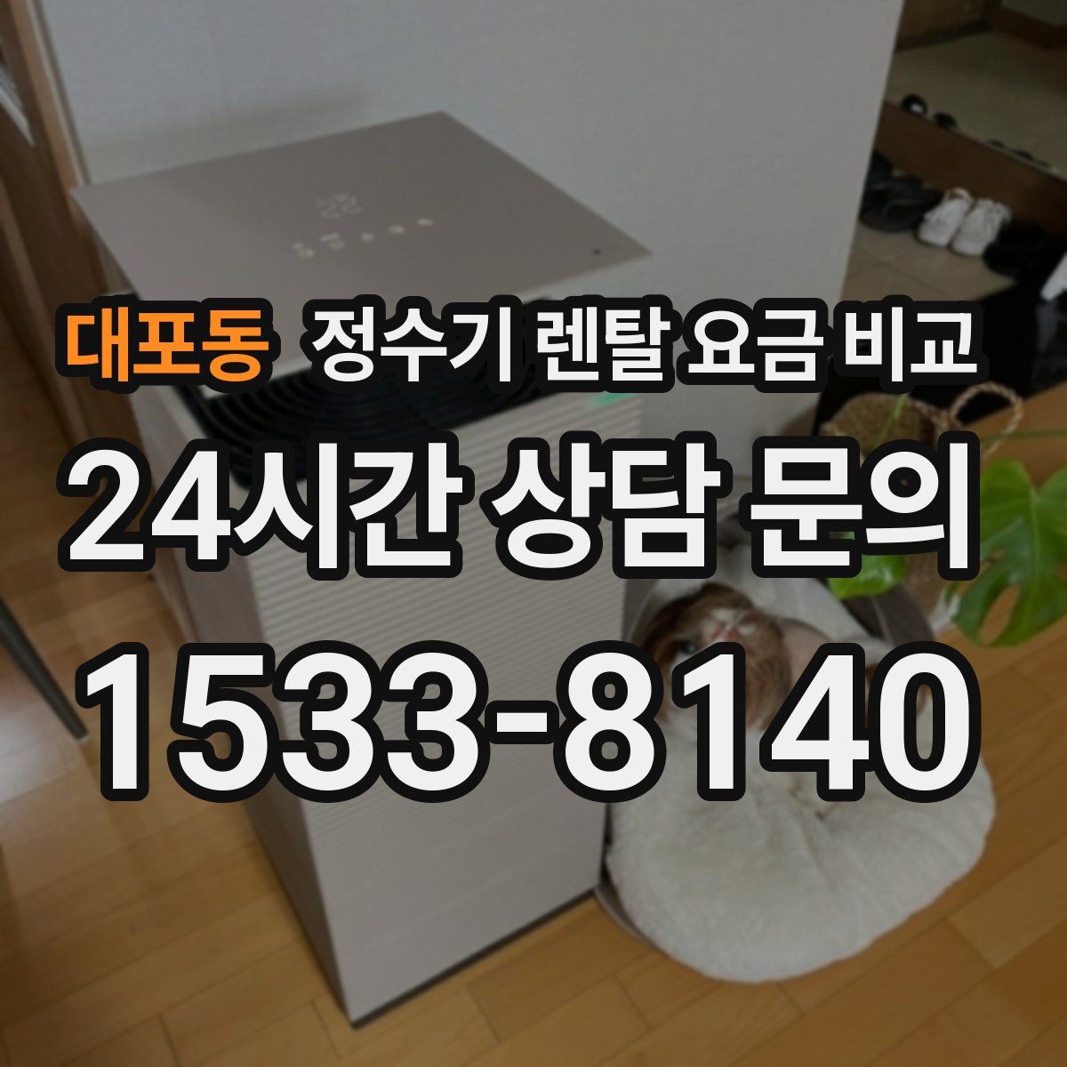 대포동 정수기 렌탈 요금 비교