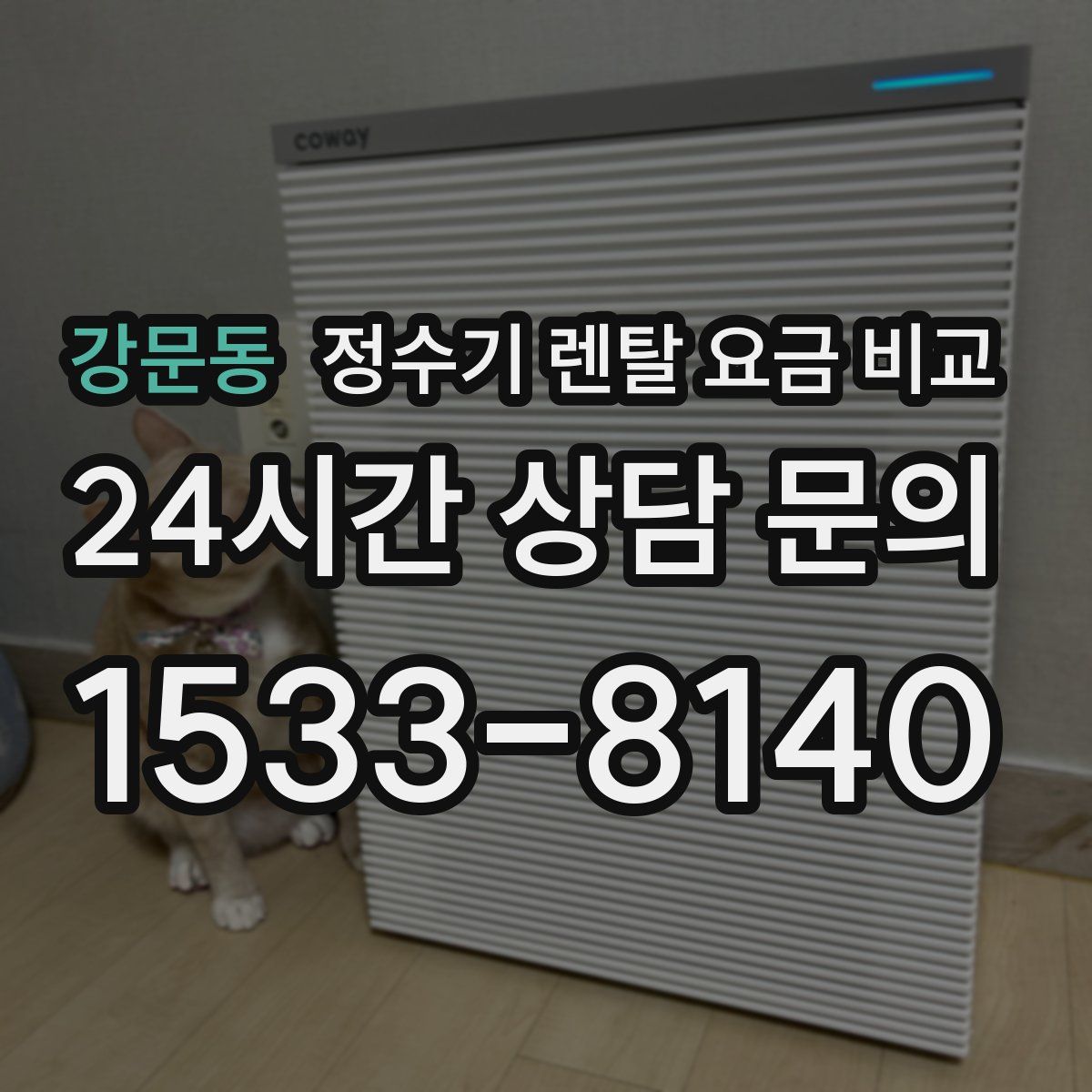 강문동 정수기 렌탈 요금 비교
