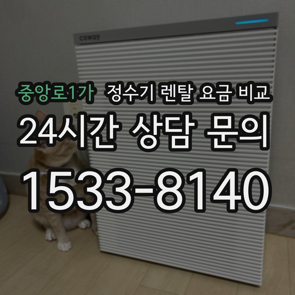 중앙로1가 정수기 렌탈 요금 비교