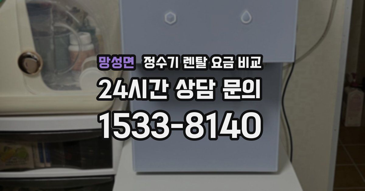 망성면 정수기 렌탈 요금 비교