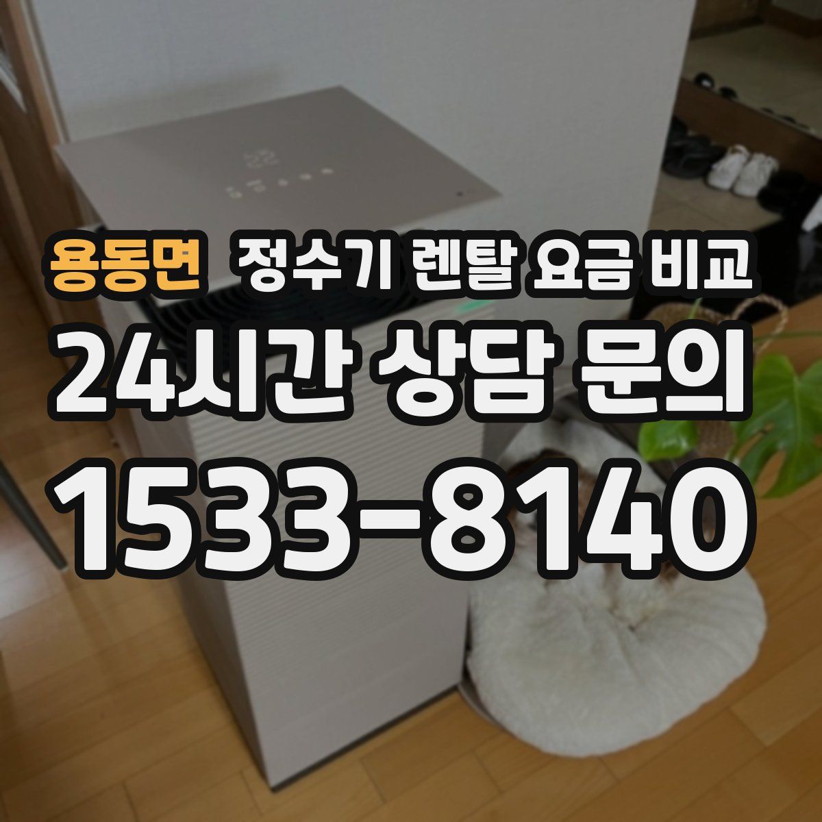 용동면 정수기 렌탈 요금 비교