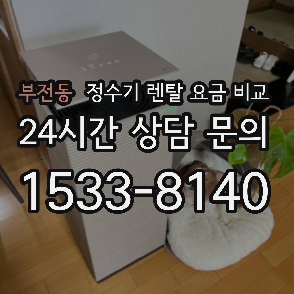 부전동 정수기 렌탈 요금 비교