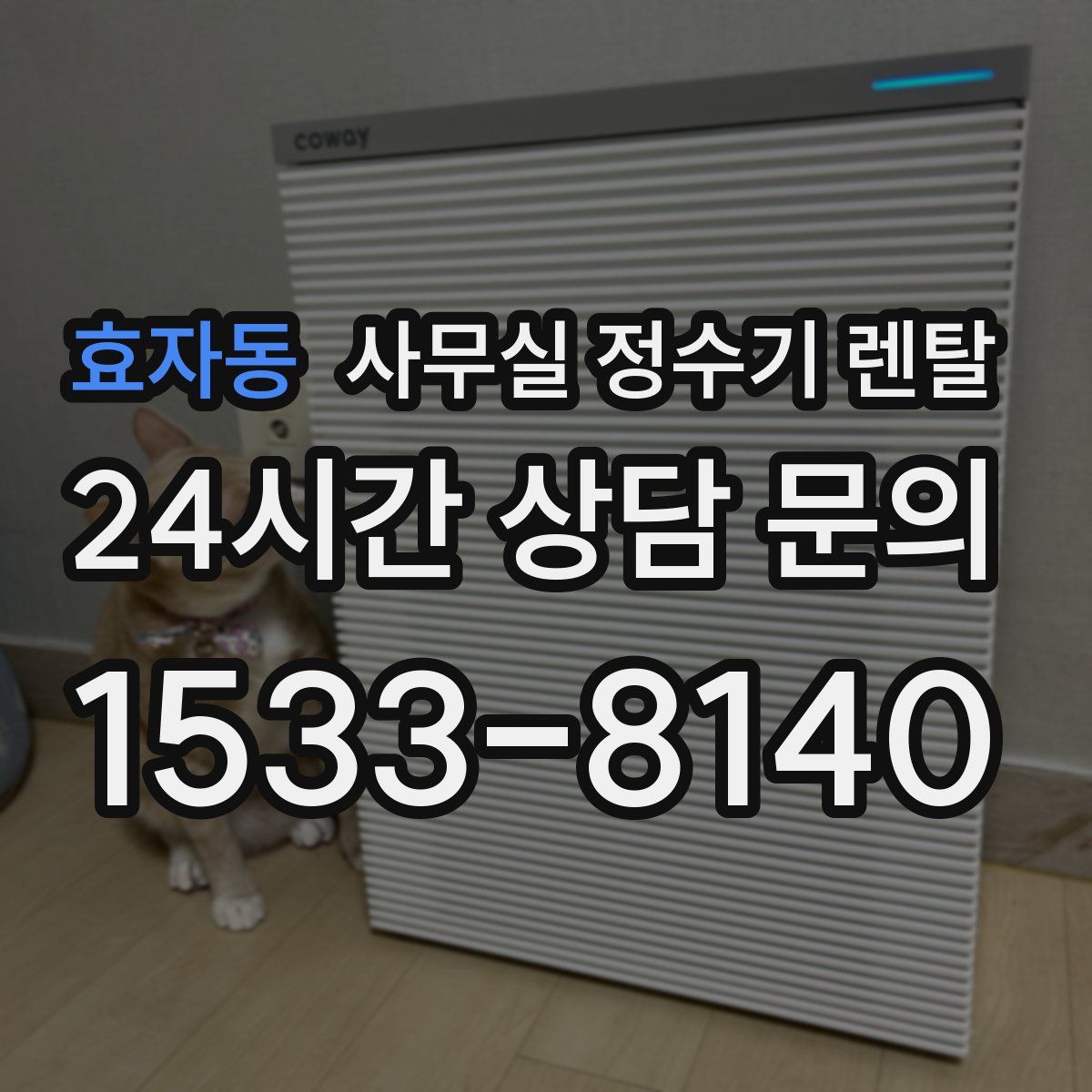 효자동 사무실 정수기 렌탈