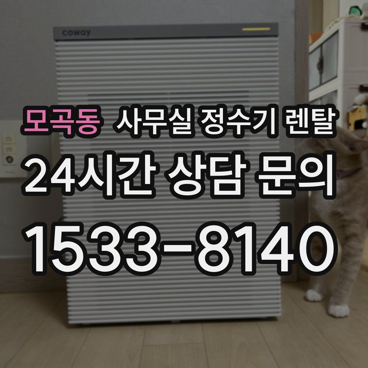 모곡동 사무실 정수기 렌탈