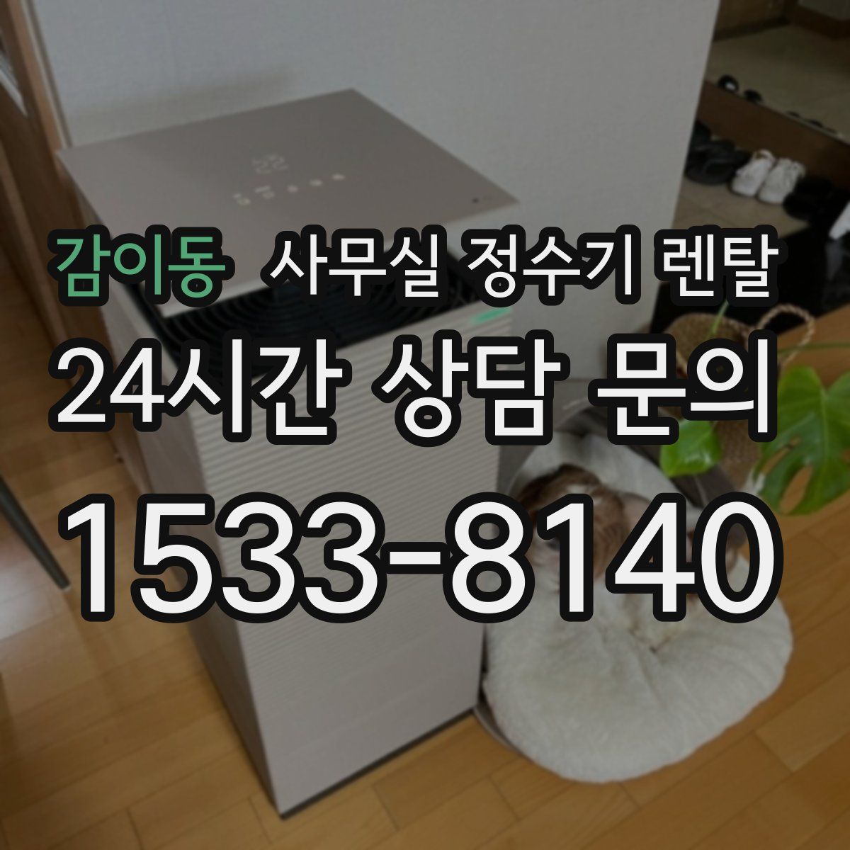 감이동 사무실 정수기 렌탈