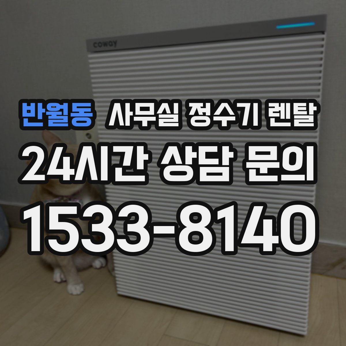 반월동 사무실 정수기 렌탈