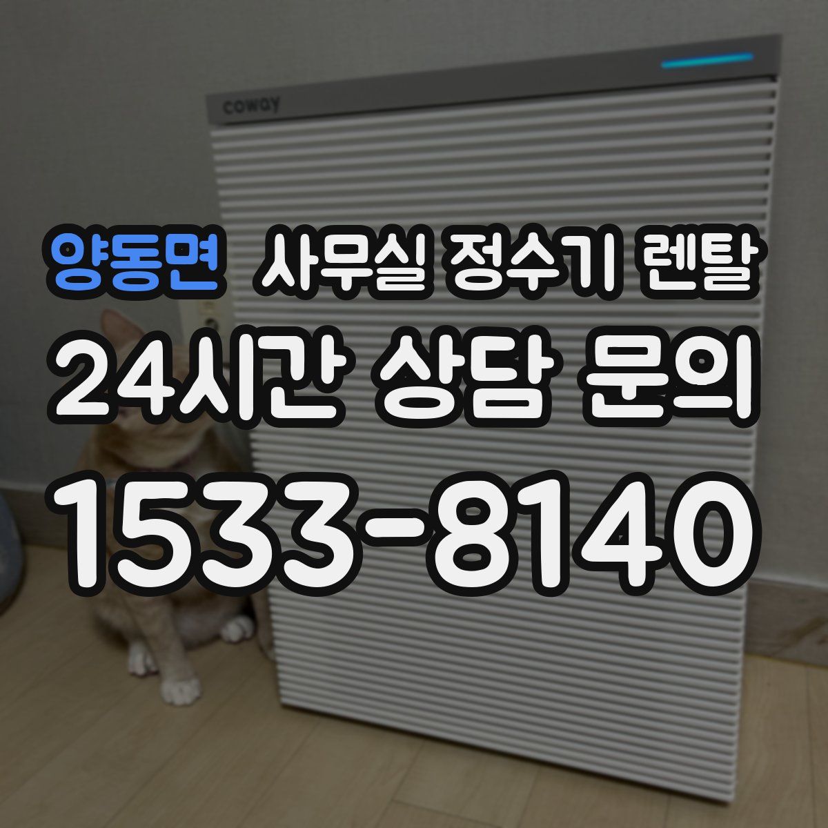 양동면 사무실 정수기 렌탈