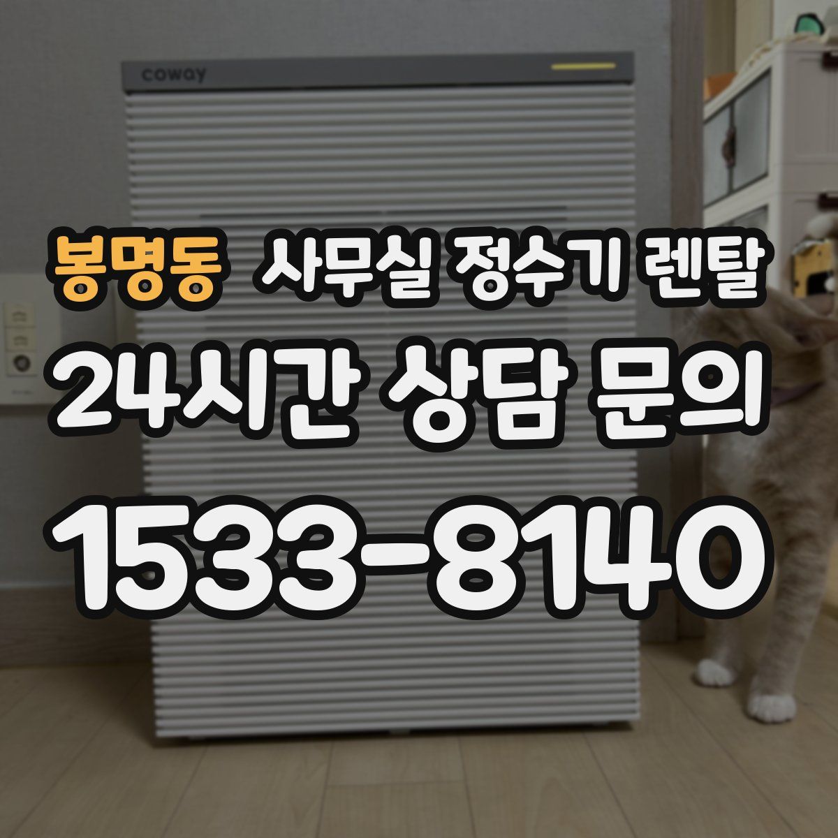 봉명동 사무실 정수기 렌탈