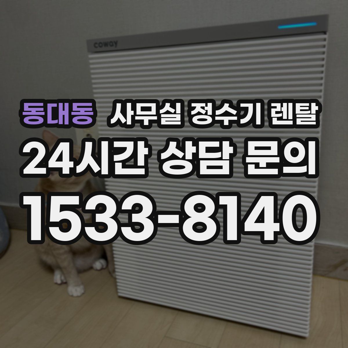 동대동 사무실 정수기 렌탈