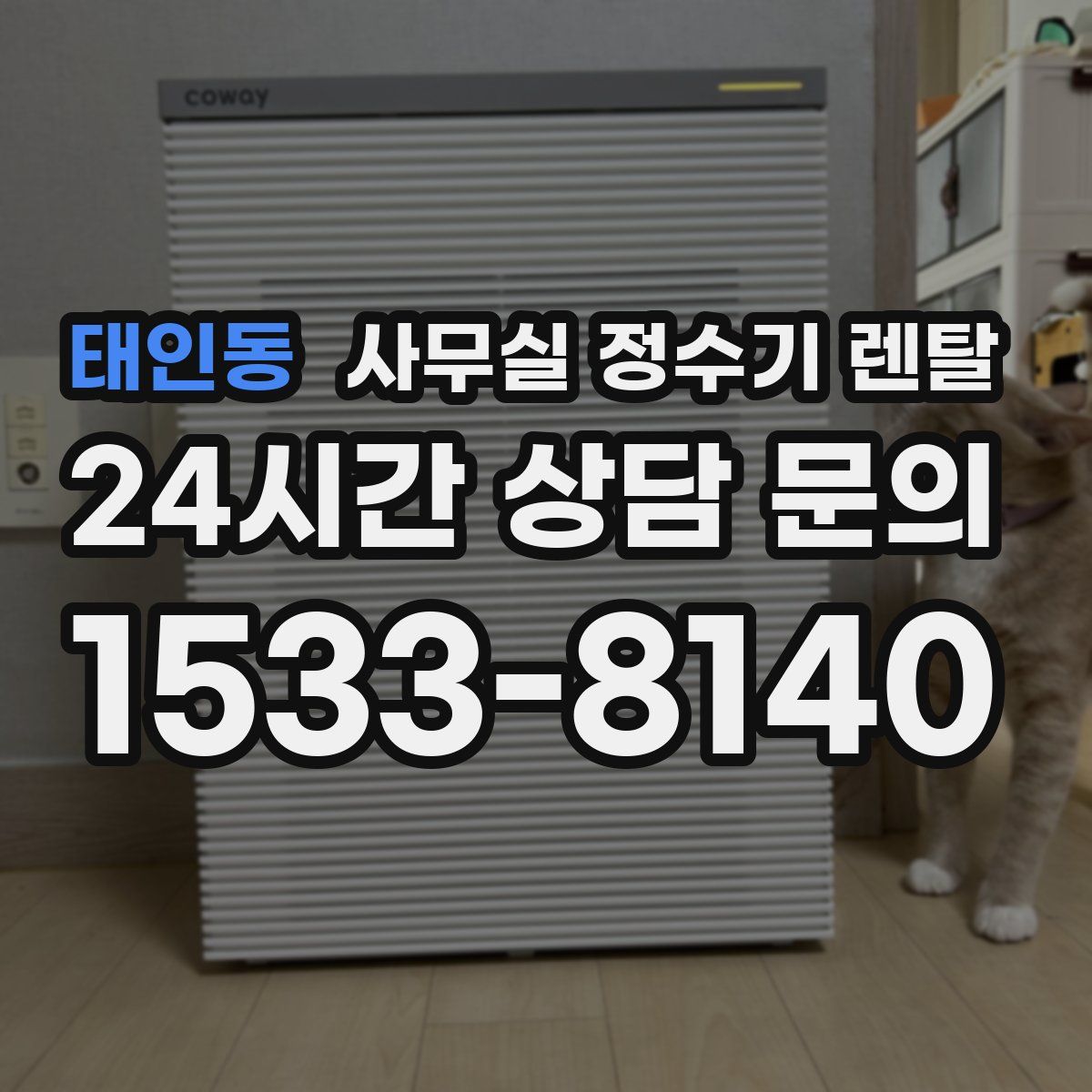 태인동 사무실 정수기 렌탈