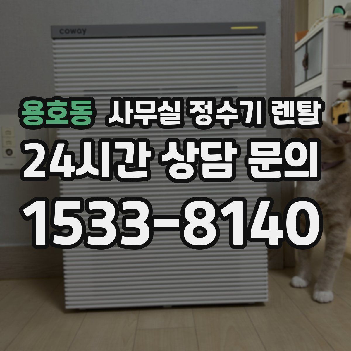 용호동 사무실 정수기 렌탈