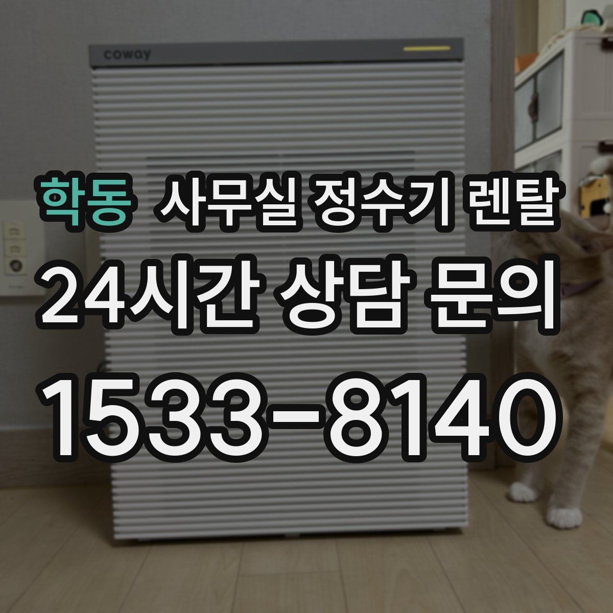학동 사무실 정수기 렌탈