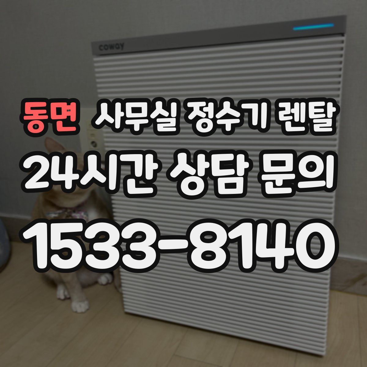 동면 사무실 정수기 렌탈