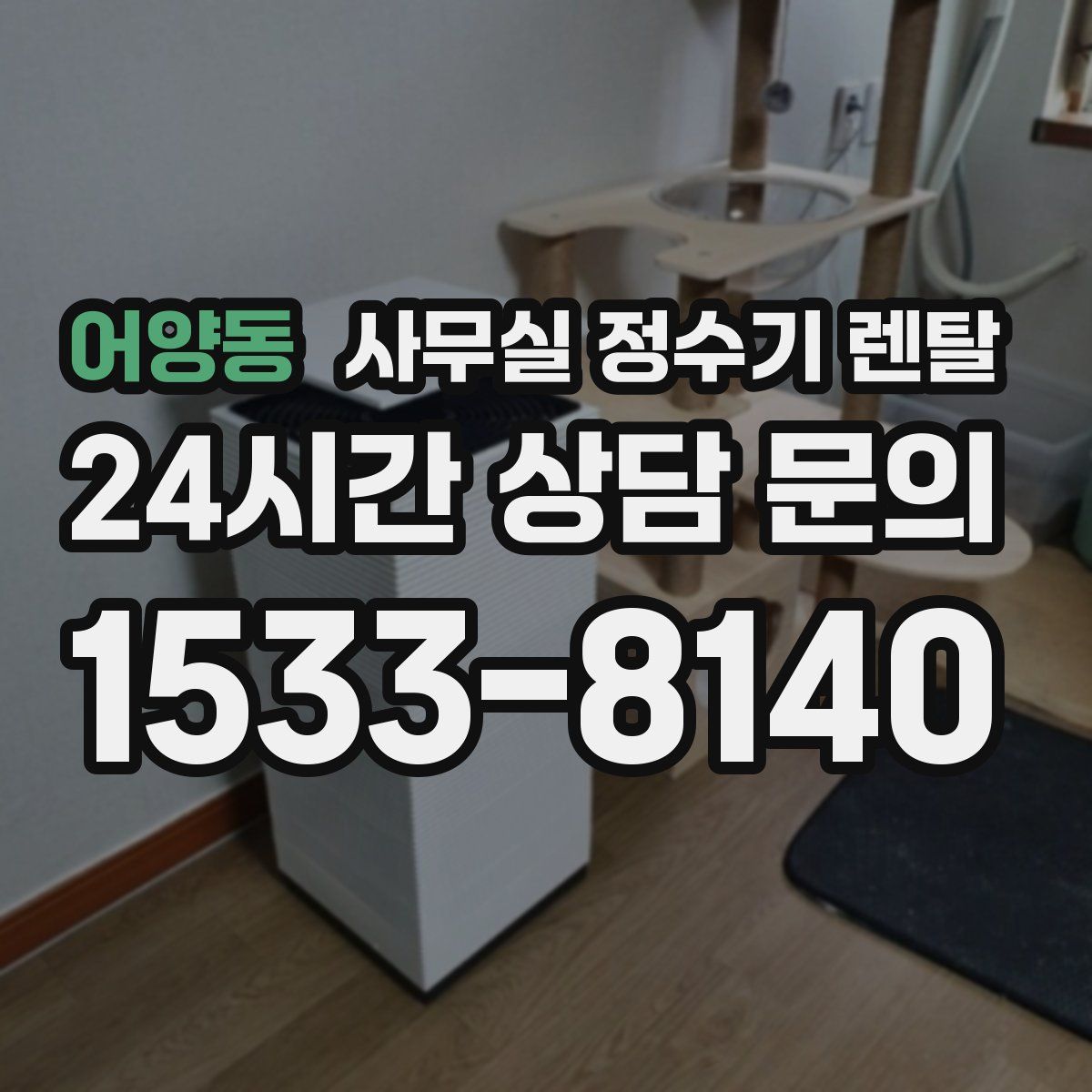 어양동 사무실 정수기 렌탈