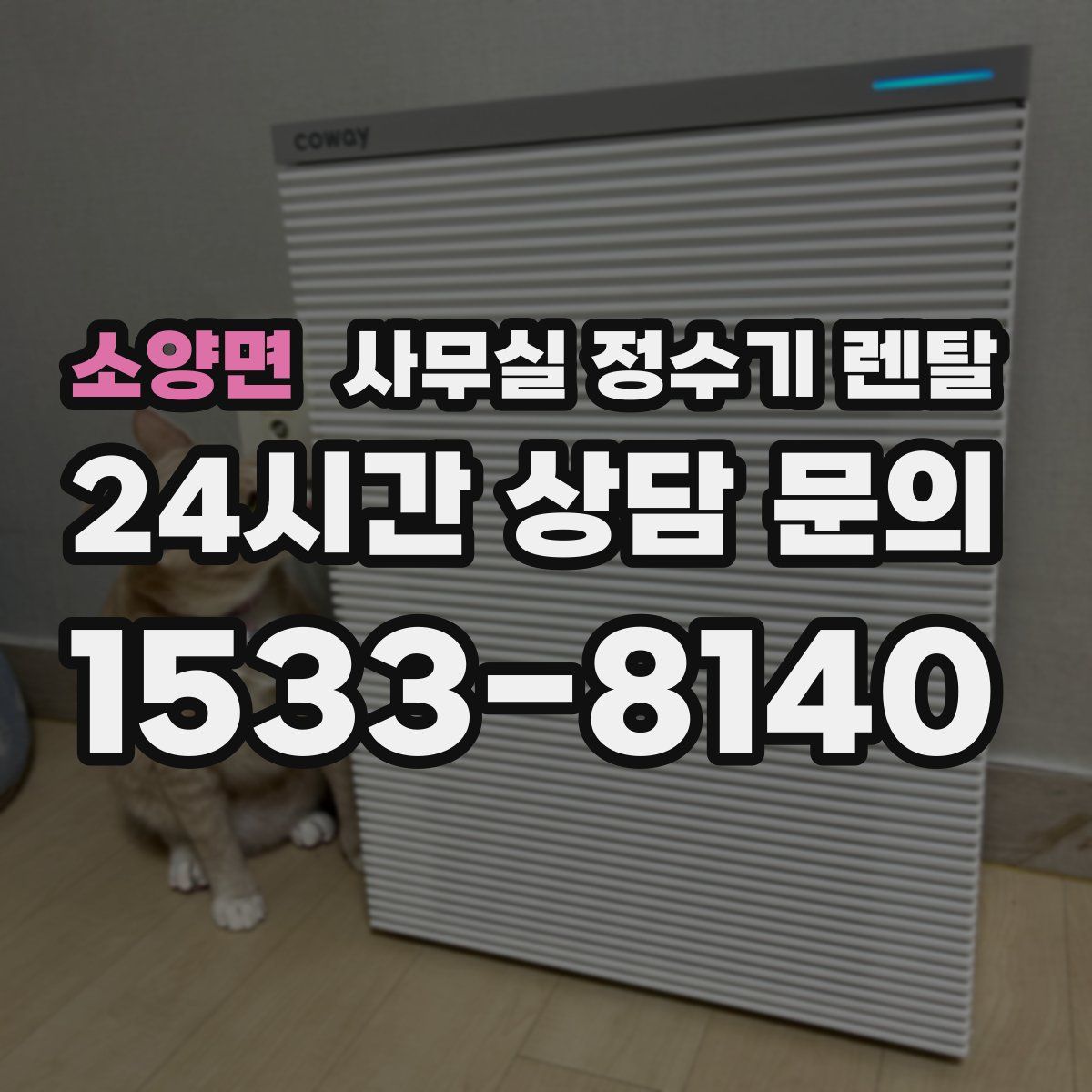 소양면 사무실 정수기 렌탈