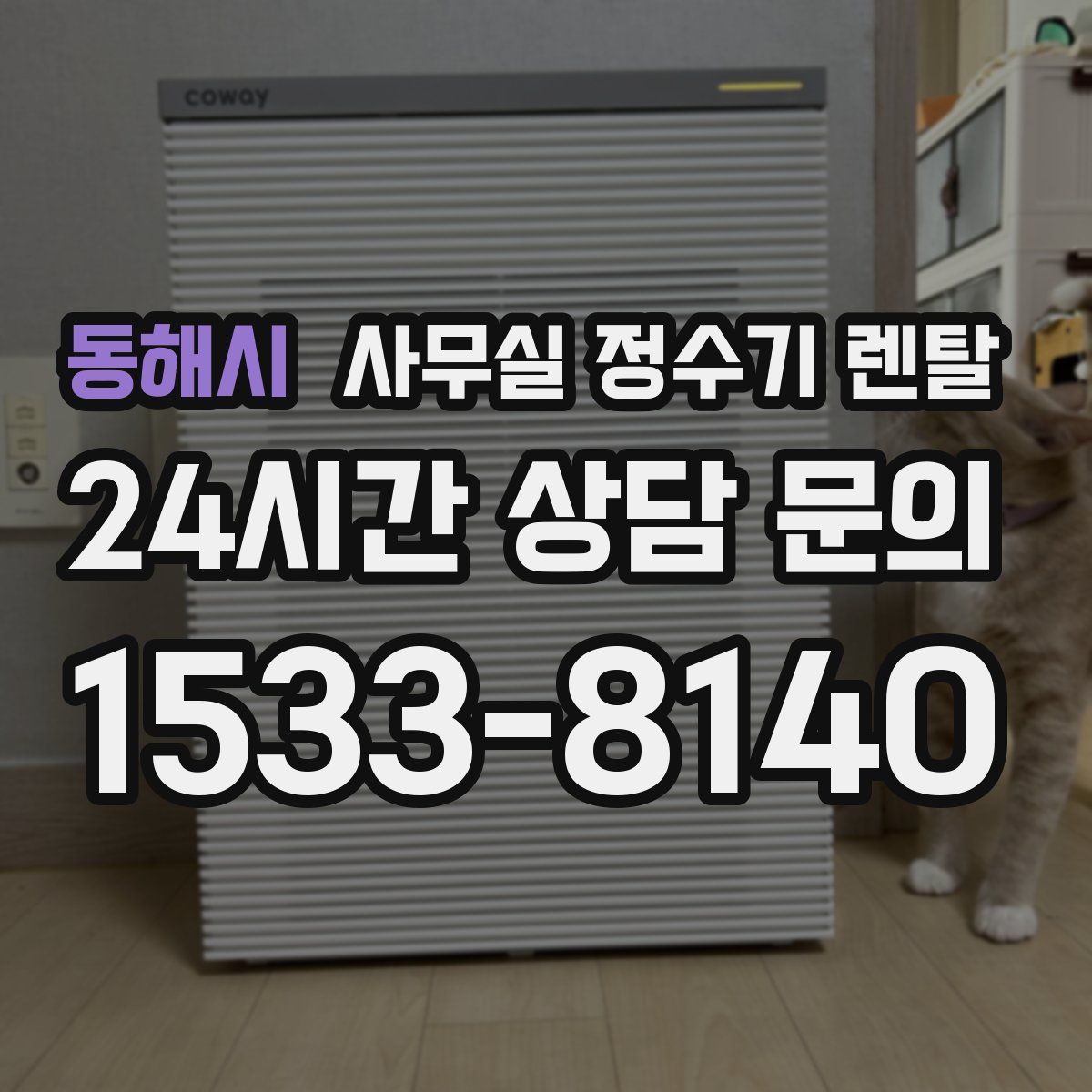 동해시 사무실 정수기 렌탈