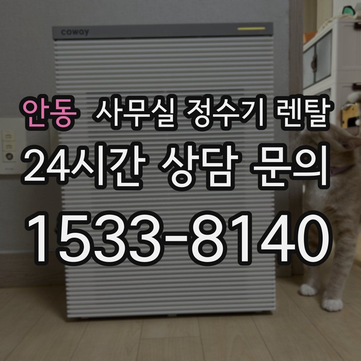 안동 사무실 정수기 렌탈