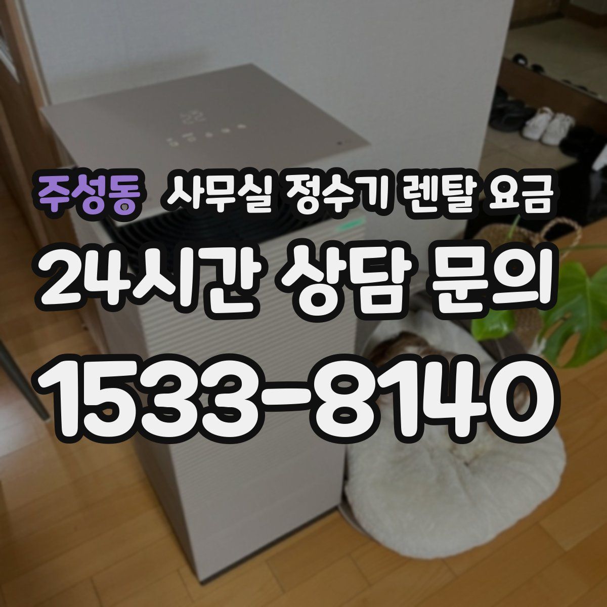 주성동 사무실 정수기 렌탈 요금