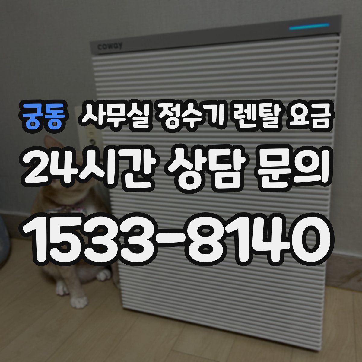 궁동 사무실 정수기 렌탈 요금