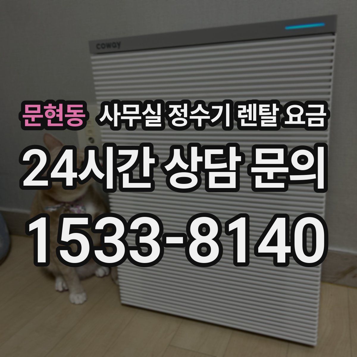 문현동 사무실 정수기 렌탈 요금