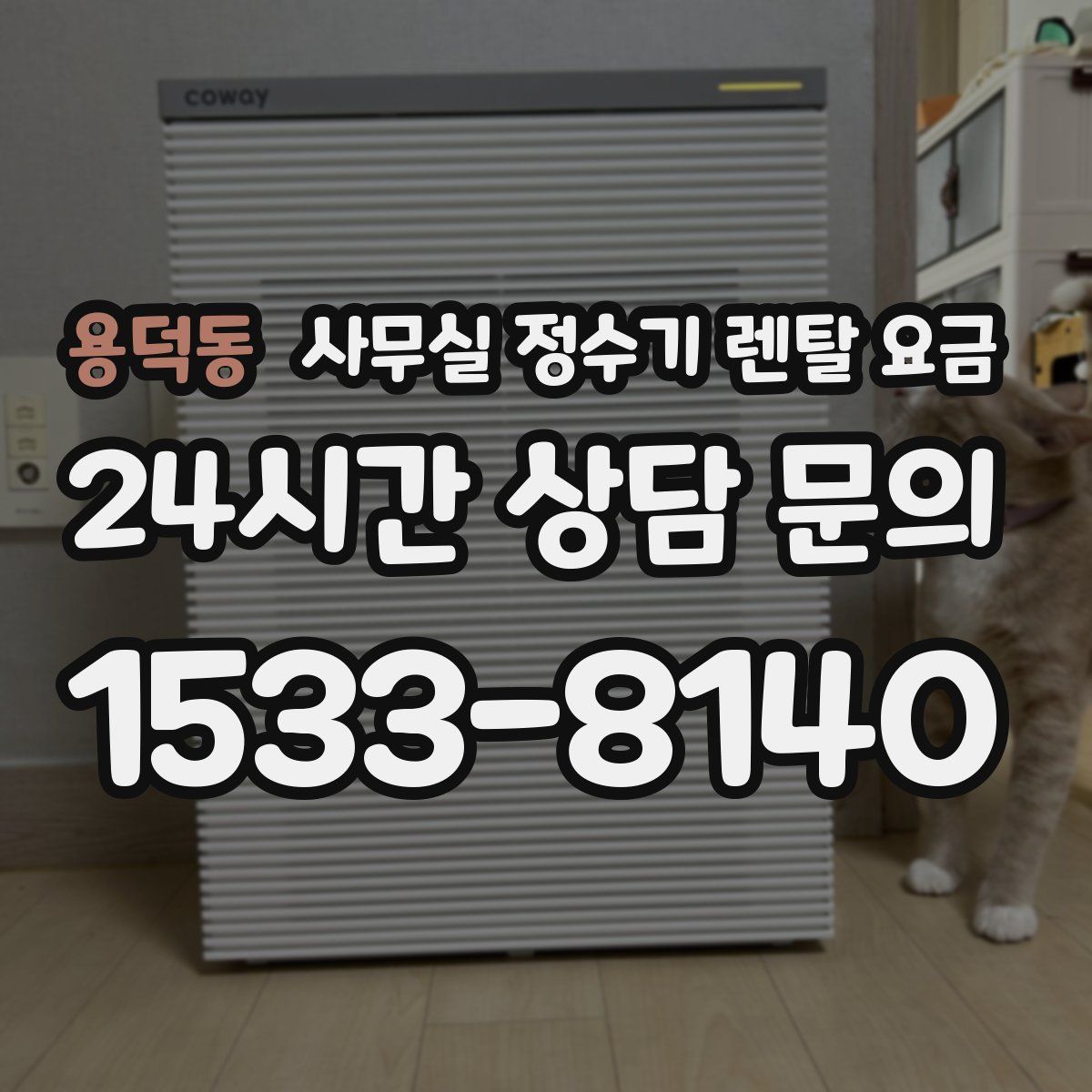 용덕동 사무실 정수기 렌탈 요금
