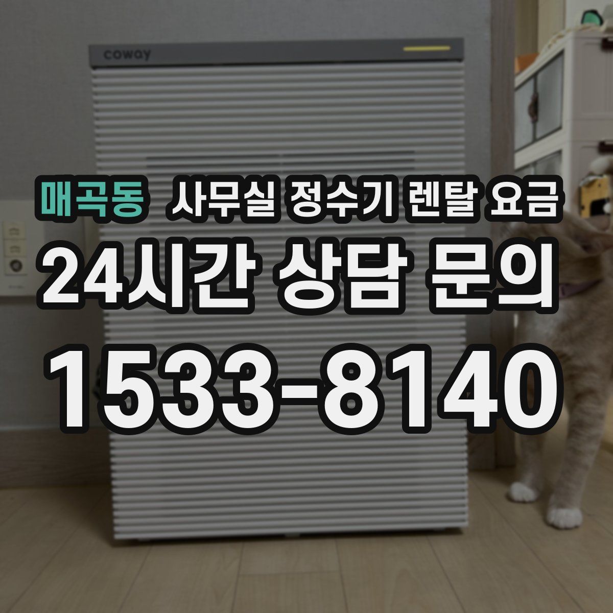 매곡동 사무실 정수기 렌탈 요금