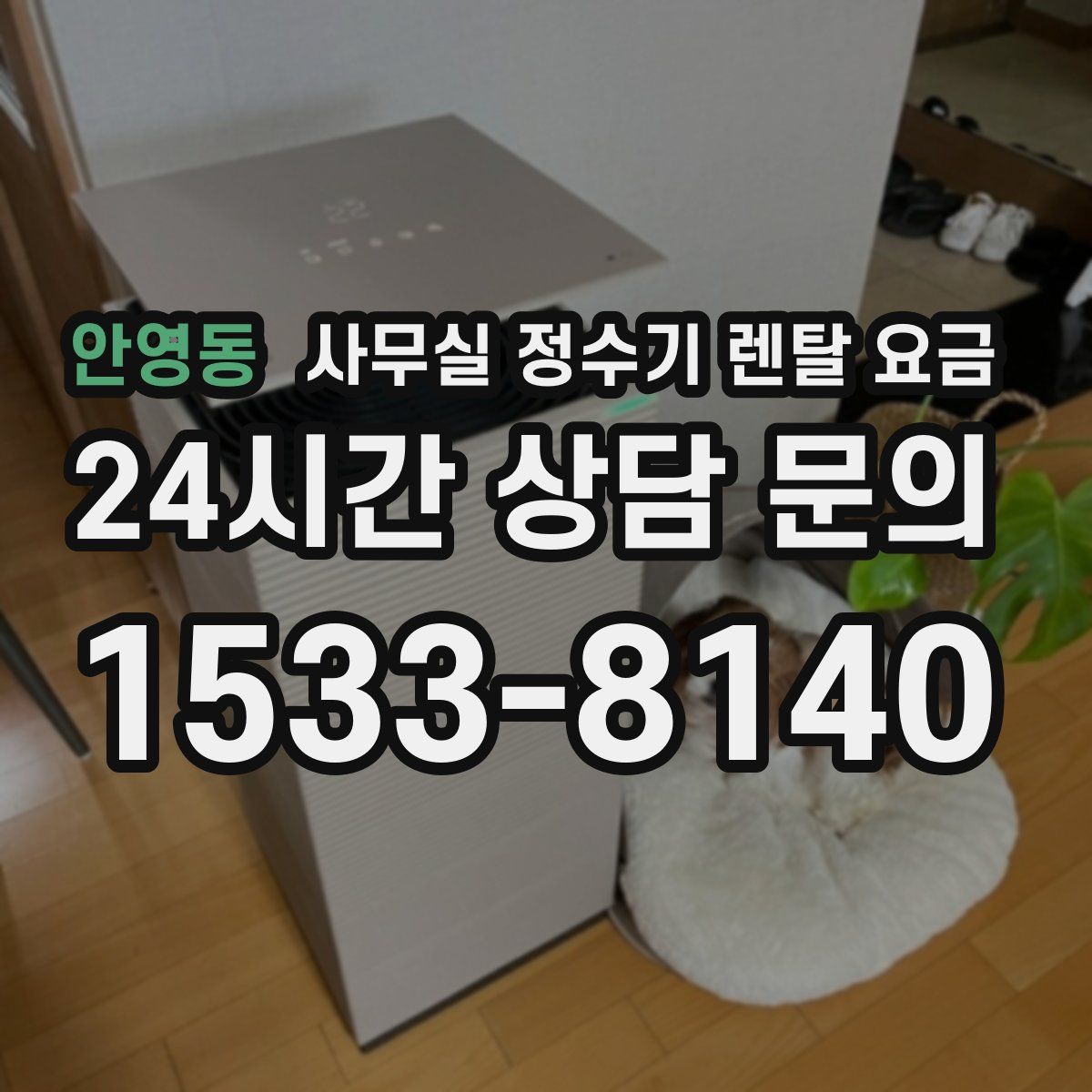 안영동 사무실 정수기 렌탈 요금