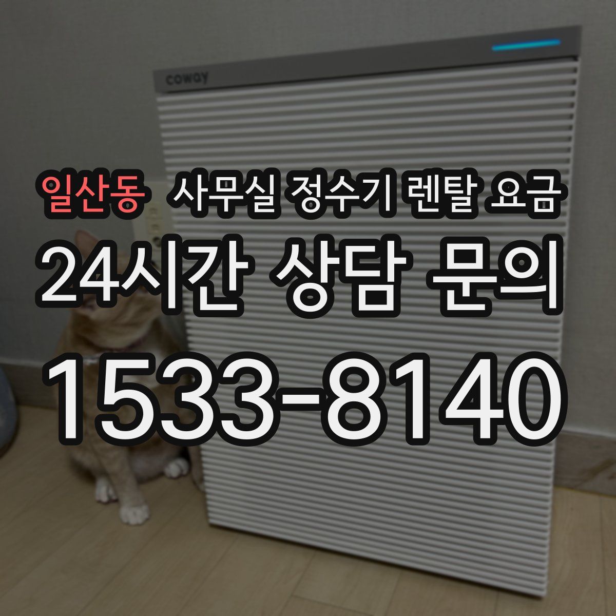 일산동 사무실 정수기 렌탈 요금
