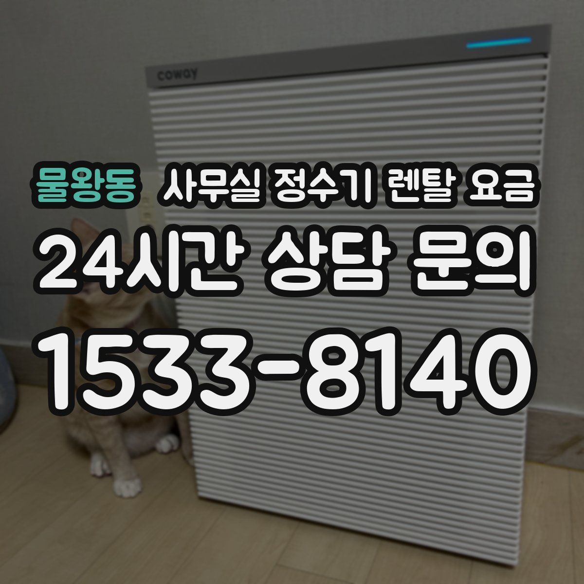 물왕동 사무실 정수기 렌탈 요금