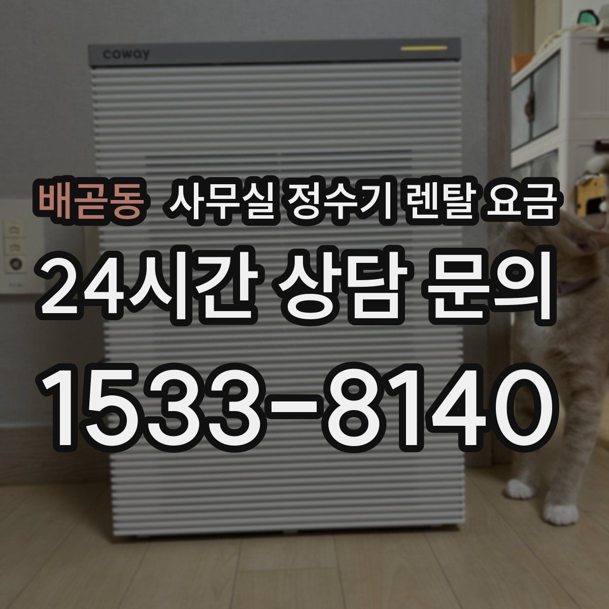 배곧동 사무실 정수기 렌탈 요금