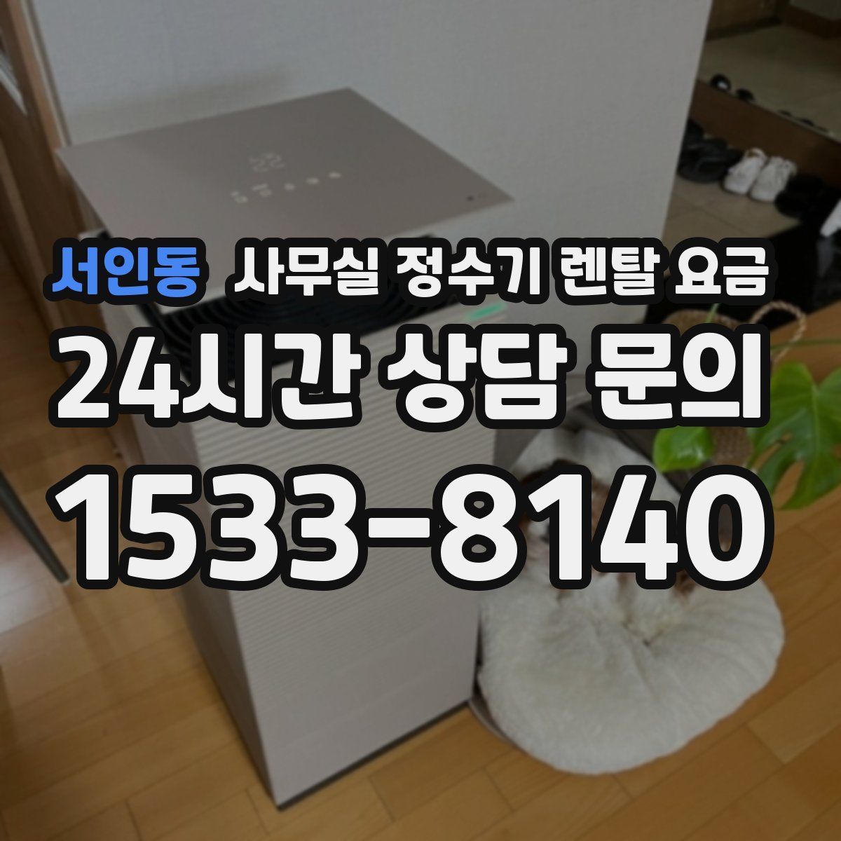 서인동 사무실 정수기 렌탈 요금