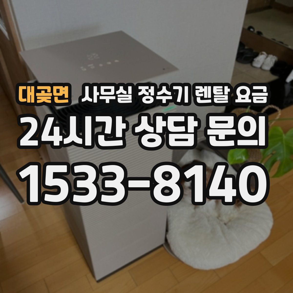 대곶면 사무실 정수기 렌탈 요금