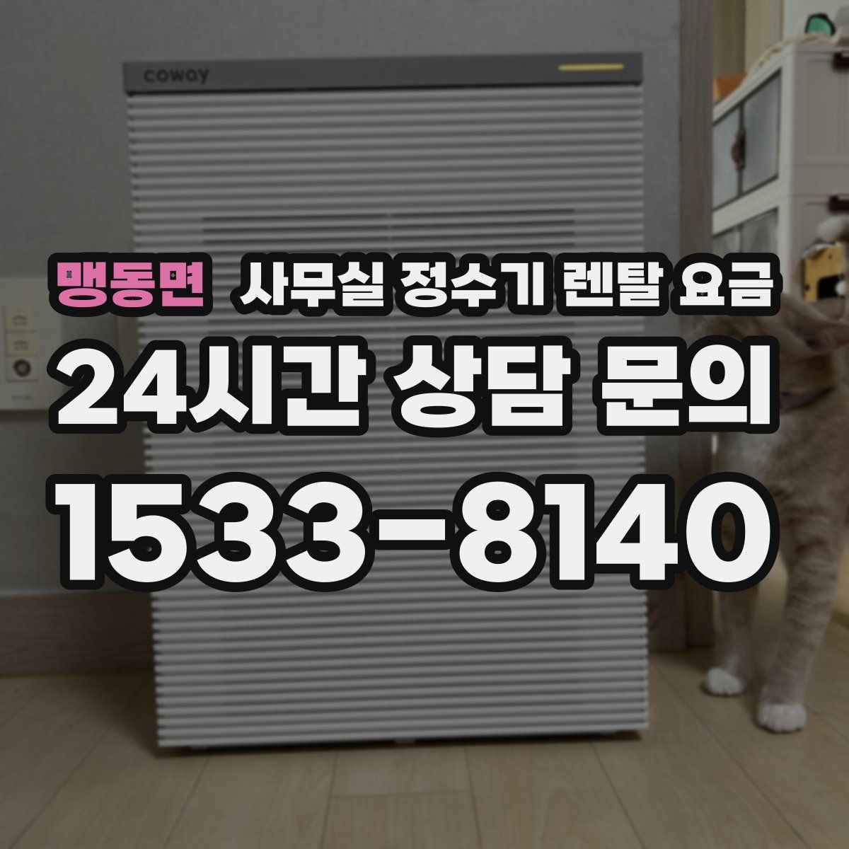 맹동면 사무실 정수기 렌탈 요금