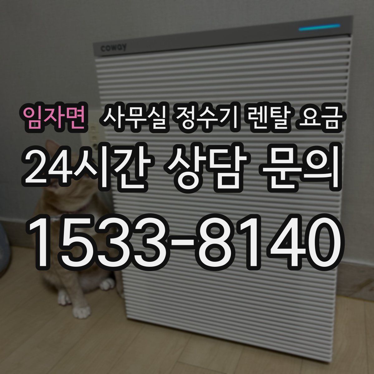 임자면 사무실 정수기 렌탈 요금